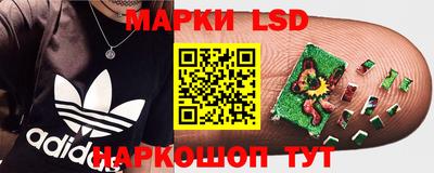 таблы Будённовск