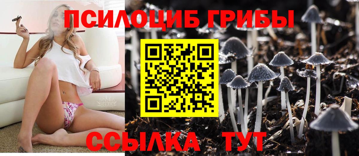 Псилоцибиновые грибы GOLDEN TEACHER Кубинка